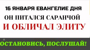 «Порождения ехидны». Почему Иоанн Креститель встретил паломников оскорблением?