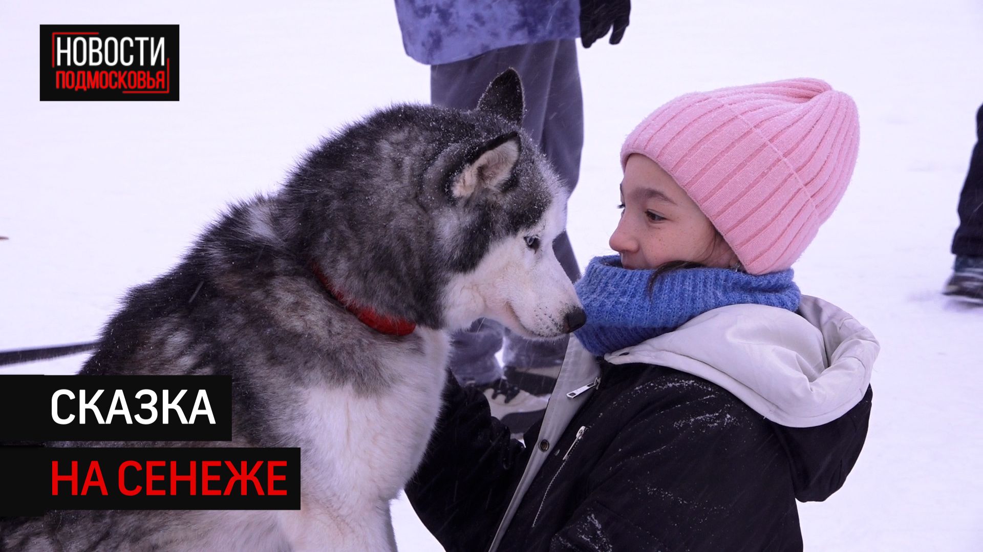 Резиденция Деда Мороза в Солнечногорске встретила десятки гостей на каникулах смотреть онлайн