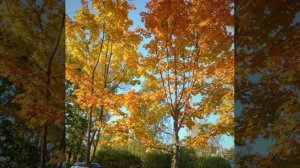 Знакомо © Copyright: Бронислав Сычёв, 2026 Свидетельство о публикации №126011102635