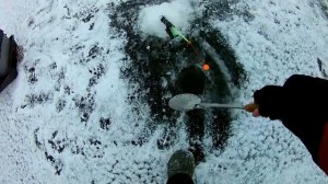 ЛОВЛЯ СУДАКА НА ТЮЛЬКУ.верхняя Волга.