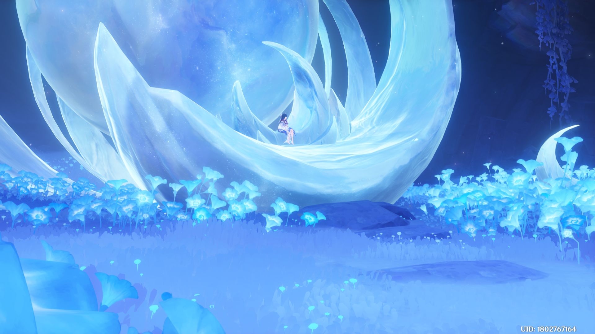 Путешествие Булочки в Тейвате 198