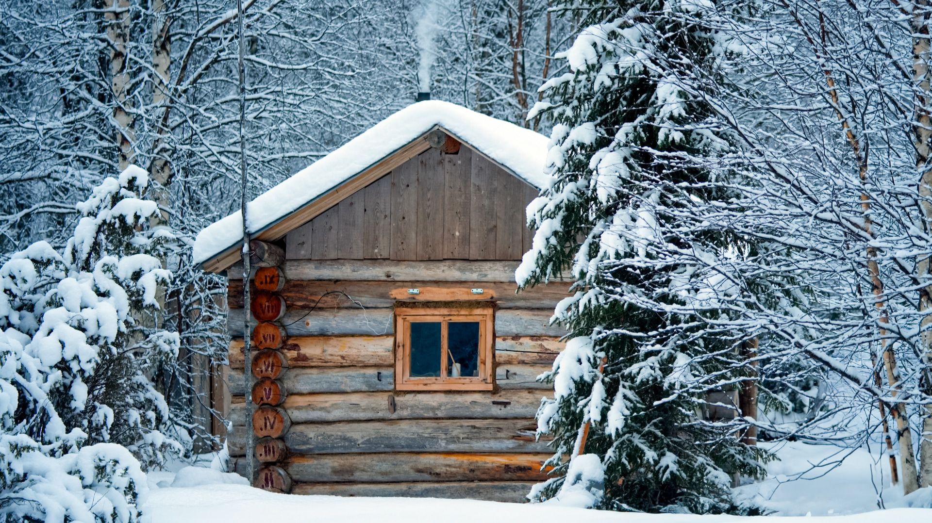 ДЕДОВСКАЯ ЛОВУШКА В ДЕЙСТВИИ. УКРАЛИ ДОБЫЧУ! БЕРЛОГА. БУДНИ ОХОТНИКА. смотреть онлайн