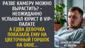 Разве камеру можно вырастить? - неожиданно услышал юрист в vip-палате… А едва девочка указала на…