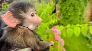 Ангелина и Люся любуются ВЛЮБЛЁННЫМИ БАБОЧКАМИ в очень красивом месте!