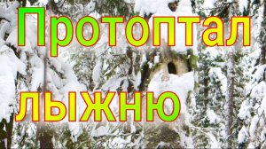 Первый выход в новом году в тайгу путик завалило снегом пришлось топтать лыжню заново соболь бегает