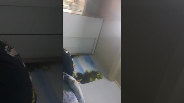 с братом смотреть онлайн