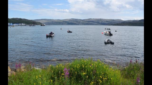 Лиинахамари часть 2 фото