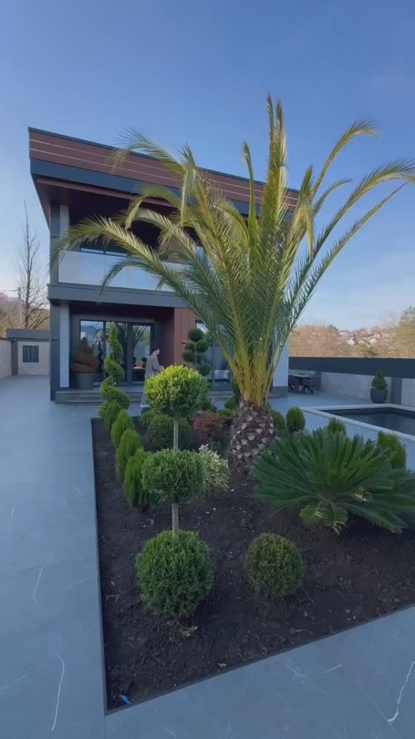 дом с пальмой в Сочи. Дом с бассейном в Сочи