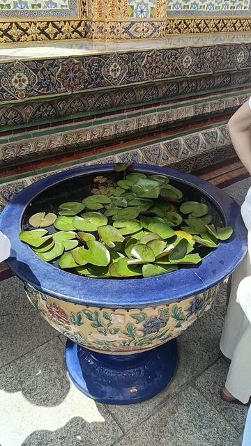 Тень Будды длиннее при закате Золотые шпили над рекой Чао Прайя: каково внутри Королевского дворца