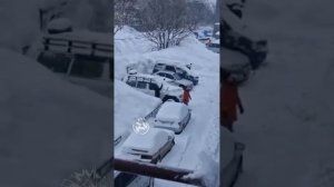 Зимние приключения китаеведов