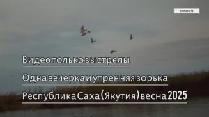 Видео только выстрелы ShotKam Одна вечерка и утренняя зорька Республика Саха (Якутия) весна 2025