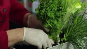 Как хранить зелень в горшочке. Свежая зелень после покупки — это РЕАЛЬНО. Советы и хитрости