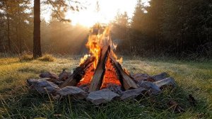 Видео горящий костер на 5 часов, утренний костер в лесу визуал на фон для кафе и ресторанов