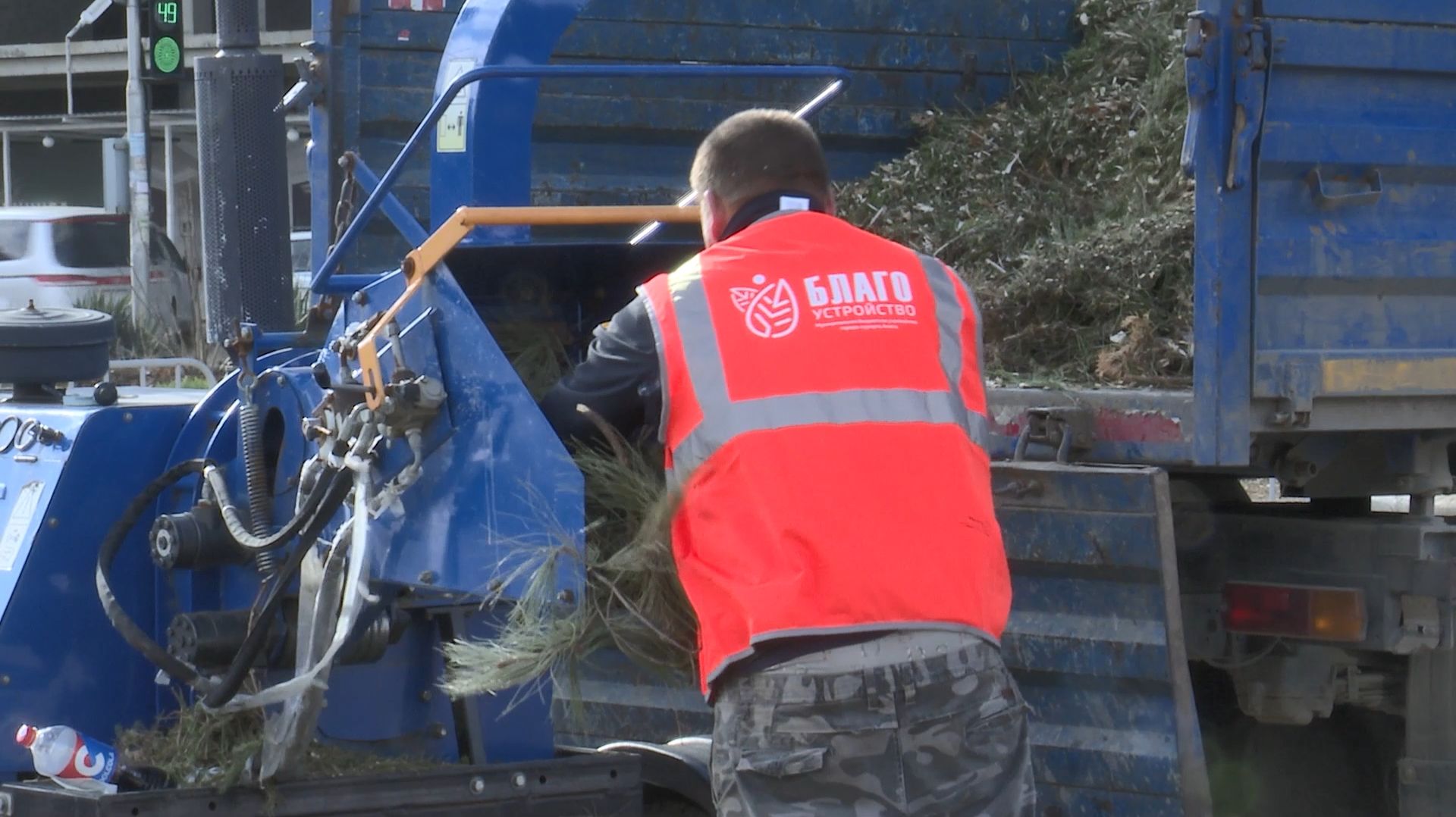 Новогодней ёлке — вторую жизнь! смотреть онлайн