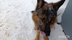 15-01-2026. Купила новый ОСУШИТЕЛЬ ☝️.