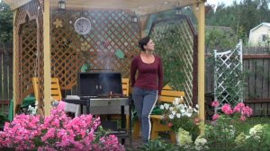 6 соток 2 августа 2025 года. 2 часть.