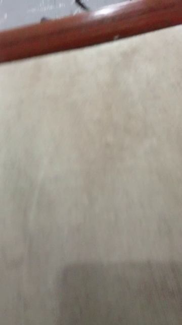 1000008560.mp4