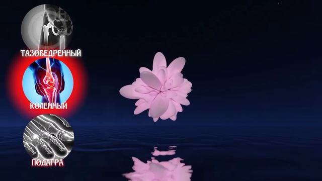 Матрицы Гаряева для Восстановления всех Суставов Ног ☀️ Полное Восстановление Суставов Звуком смотреть онлайн