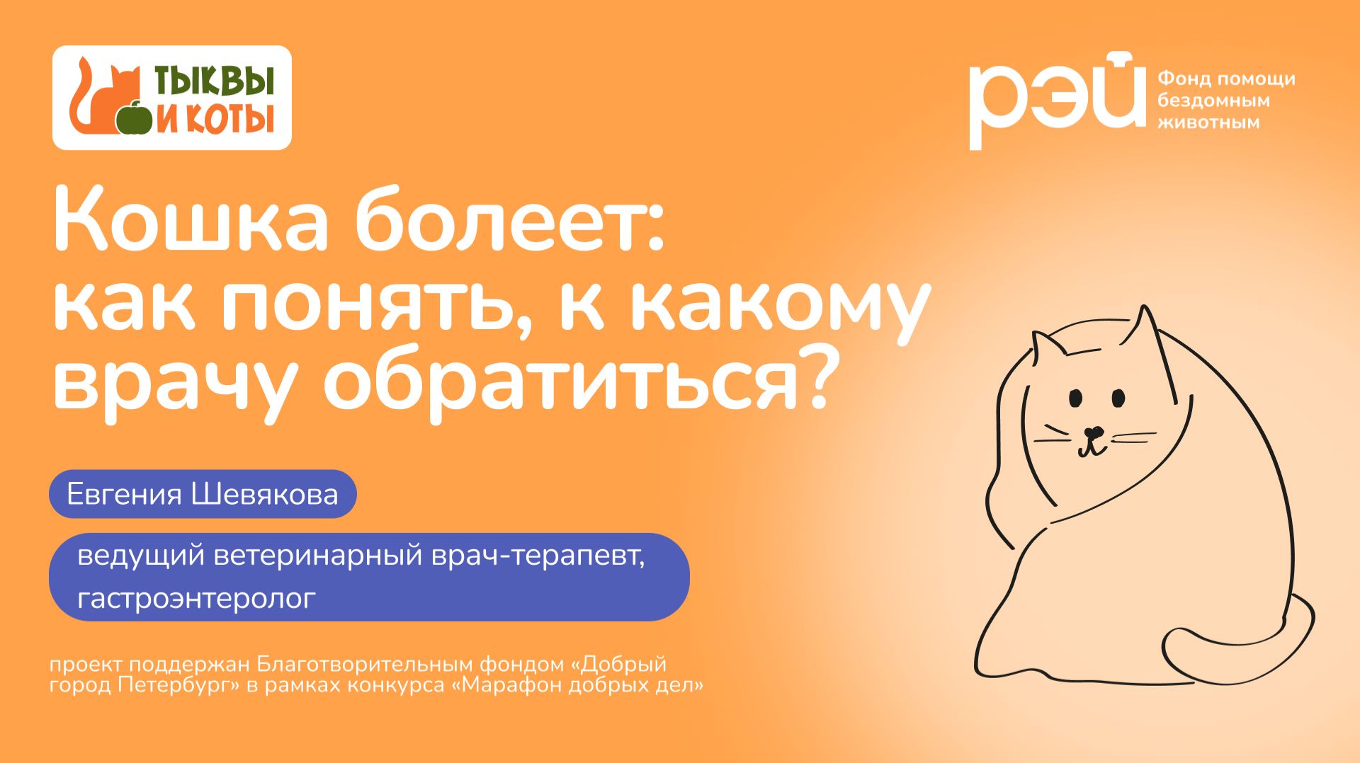 Кошка болеет: как понять, к какому врачу обратиться смотреть онлайн