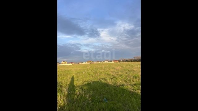 10754178 смотреть онлайн