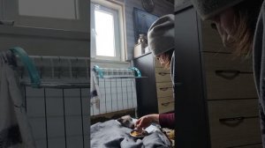 По просьбам подписчиков даю яйцо Снежку