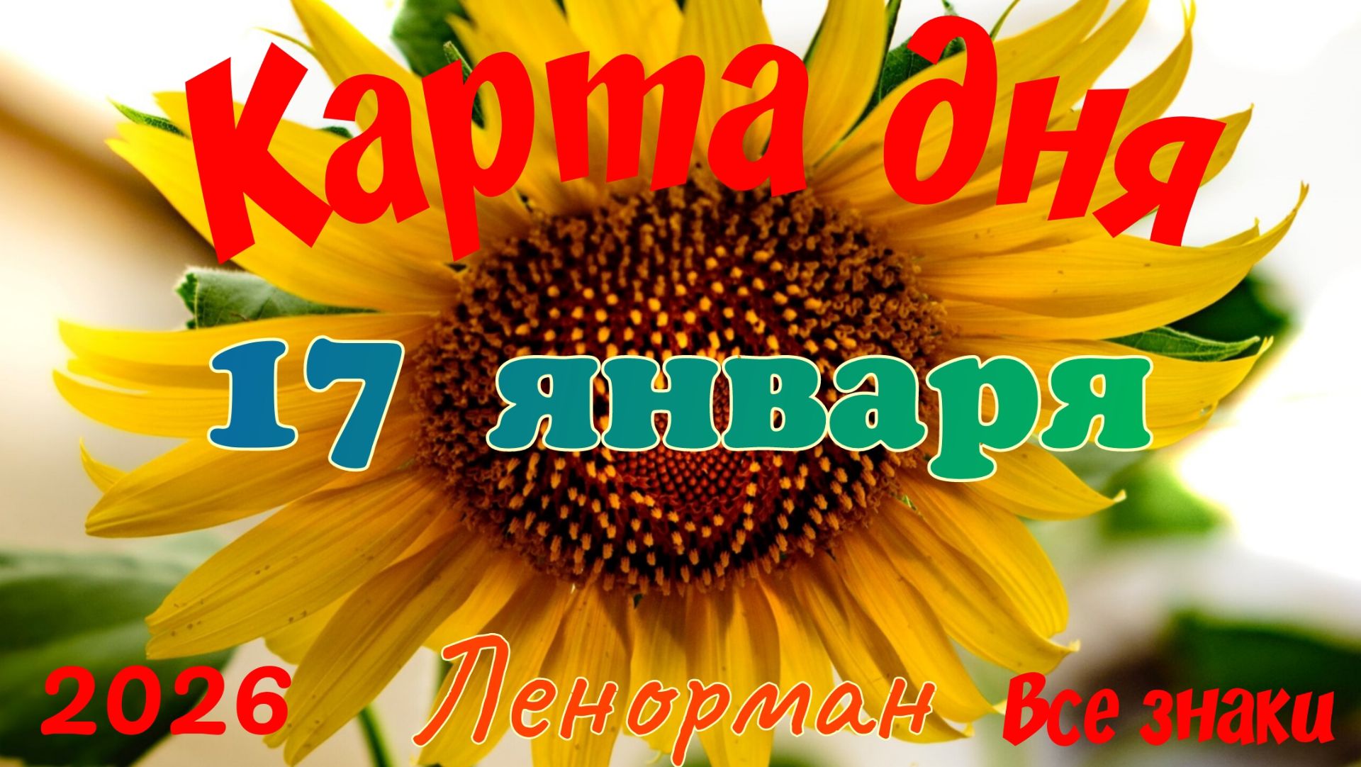 Карта дня❄ 17 января 2026🎄☃️Ленорман.Тайм-код в описании🦢 смотреть онлайн