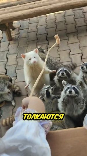 Альбинизм изменил его жизнь навсегда 🤍