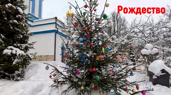 Рай на земле /Моя кошка /Что готовлю /Рождество /Домой