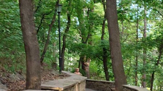 Красоты парка в Кисловодске смотреть онлайн