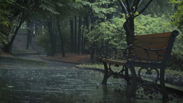 Уютные звуки дождя для глубокого сна и снятия стресса 🌧️