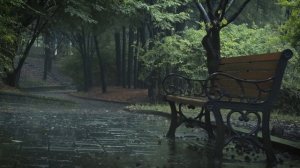 Уютные звуки дождя для глубокого сна и снятия стресса 🌧️