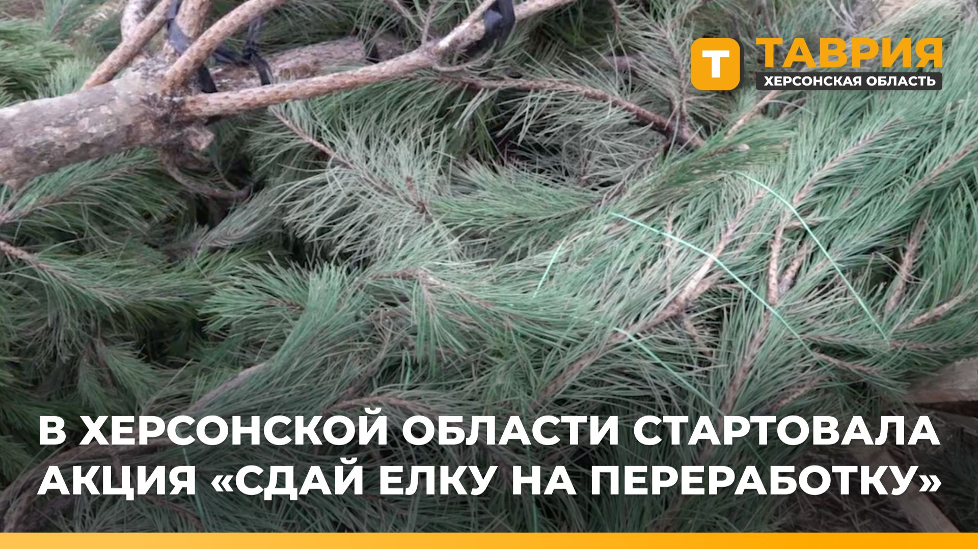 В Херсонской области стартовала акция "Сдай елку на переработку" смотреть онлайн
