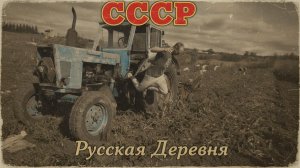 1967 год Уборочная