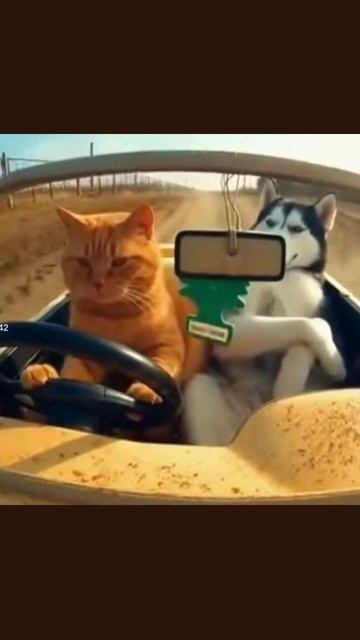 #животныезарулём #котыпутешествуют #приключениянаколёсах #живописьвпутешествии