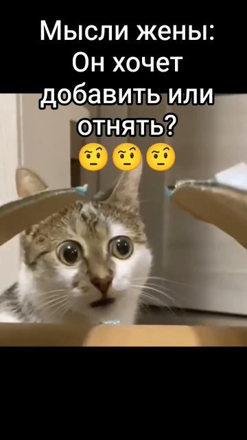 Очень сложный вопрос для жены) #вопрос #деньги #мысли #папатрехпринцесс #юмор #прикол #шутка #смех