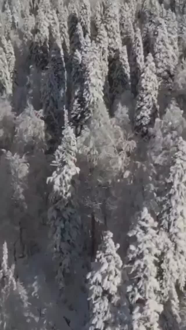 Заснеженный абхазский курорт в горах под названием Ауадхара (январь, ЗИМА-2026) смотреть онлайн