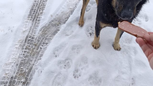 Вкусняшки для Малыша смотреть онлайн