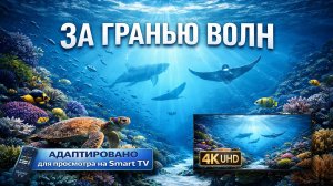 За гранью волн  | Видео в 4К (UHD)