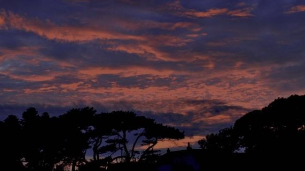 dolby vision природа