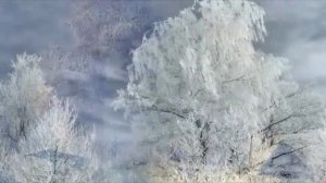 Валерий Плесеинов - Зима-холода. Афигеть какая песня