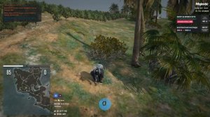 как однажды растили кустики на острове