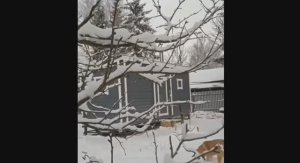 Баня 6х2.3 в Наро-Фоминске - творческий отзыв от заказчицы