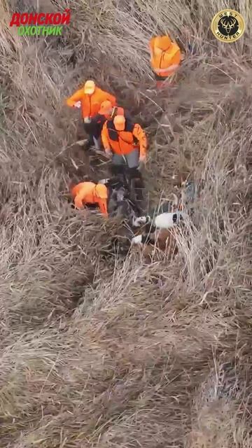 Охота .Чудеса на охоте -что это было смотреть онлайн