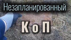 Незапланированный КоП по дороге домой... 🙂 #металлокоп