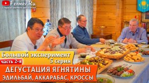 🐏Какая баранина самая вкусная? Едильбай, аккарабас, помеси с мериносами: тексель, дорпер и суффолк?