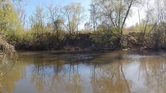 Рыбалка на Свияге. Охота на плотву. Архив, апрель 2024 года. смотреть онлайн