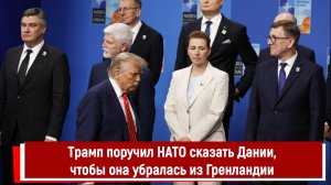 Трамп поручил НАТО сказать Дании, чтобы она убралась из Гренландии