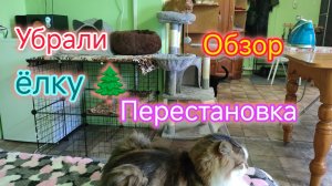 Купили на 3000, а есть НЕЧЕГО/Убрали ЁЛКУ/Перестановка в ДОМЕ/Засолка САЛА, вкусный РЕЦЕПТ