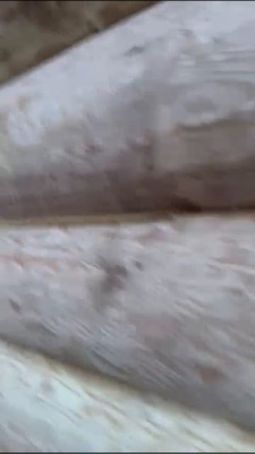 VID-20241230-WA0007 10 на 9