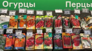 Сезон 2026! Что с ценами на семена? ШОК!😱